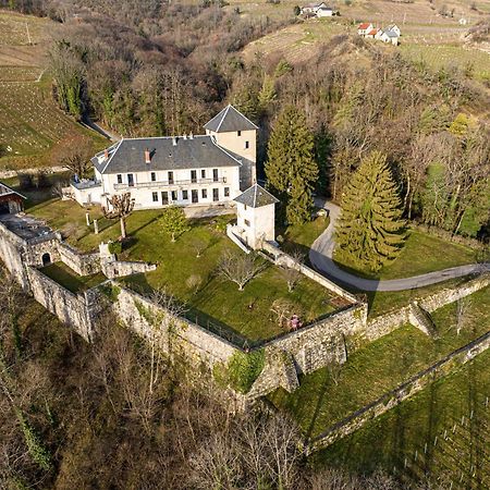 Chateau D'Apremont 아프레몽 외부 사진